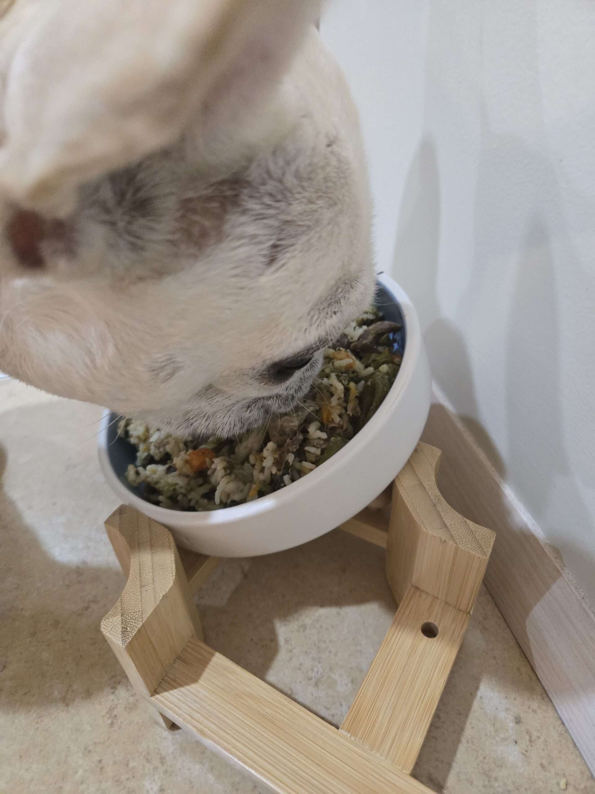 Dizzy_eating_L3